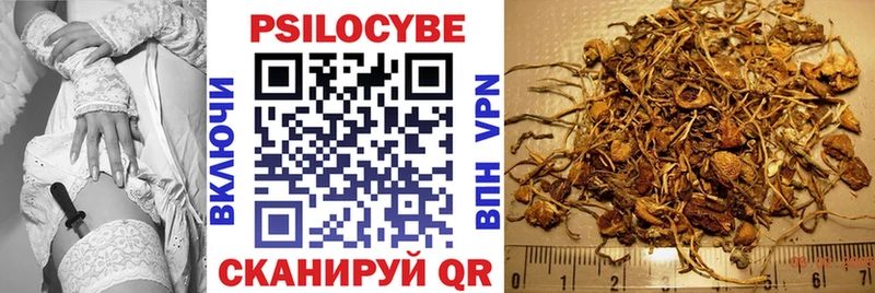 Псилоцибиновые грибы GOLDEN TEACHER  купить наркотик  Мантурово 